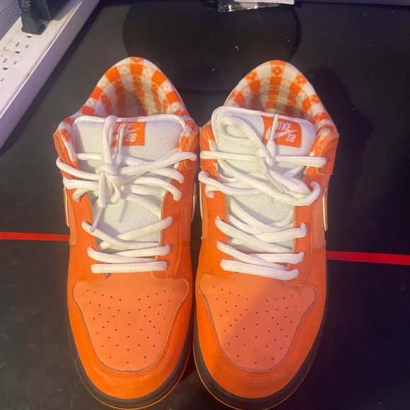 Nike SB Orange Lobsters